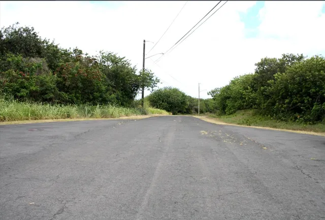 a view of a road with a yard