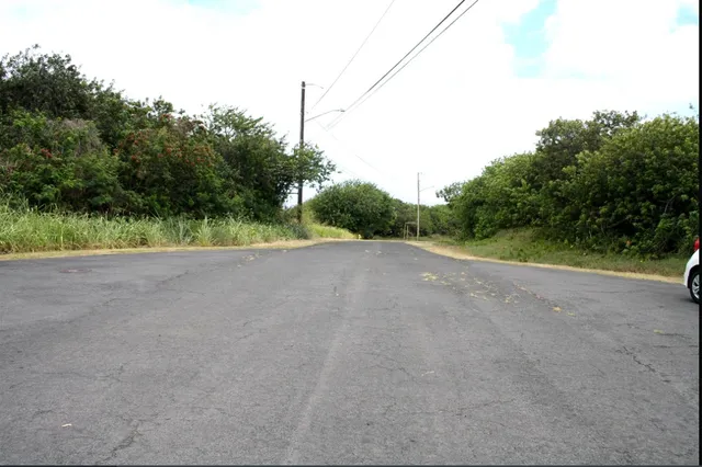 a view of a road with a yard