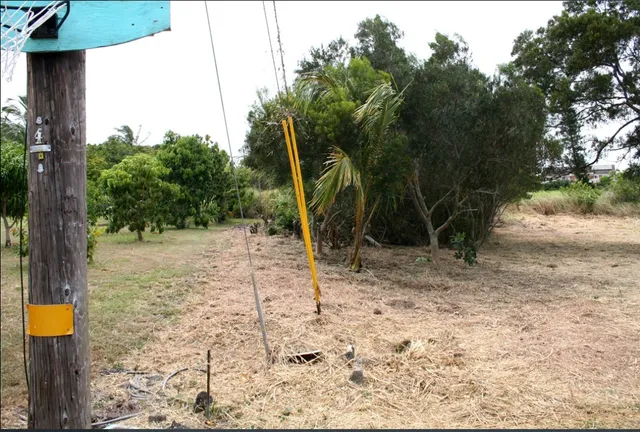 a view of a park with swings