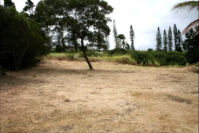 a view of a out door space