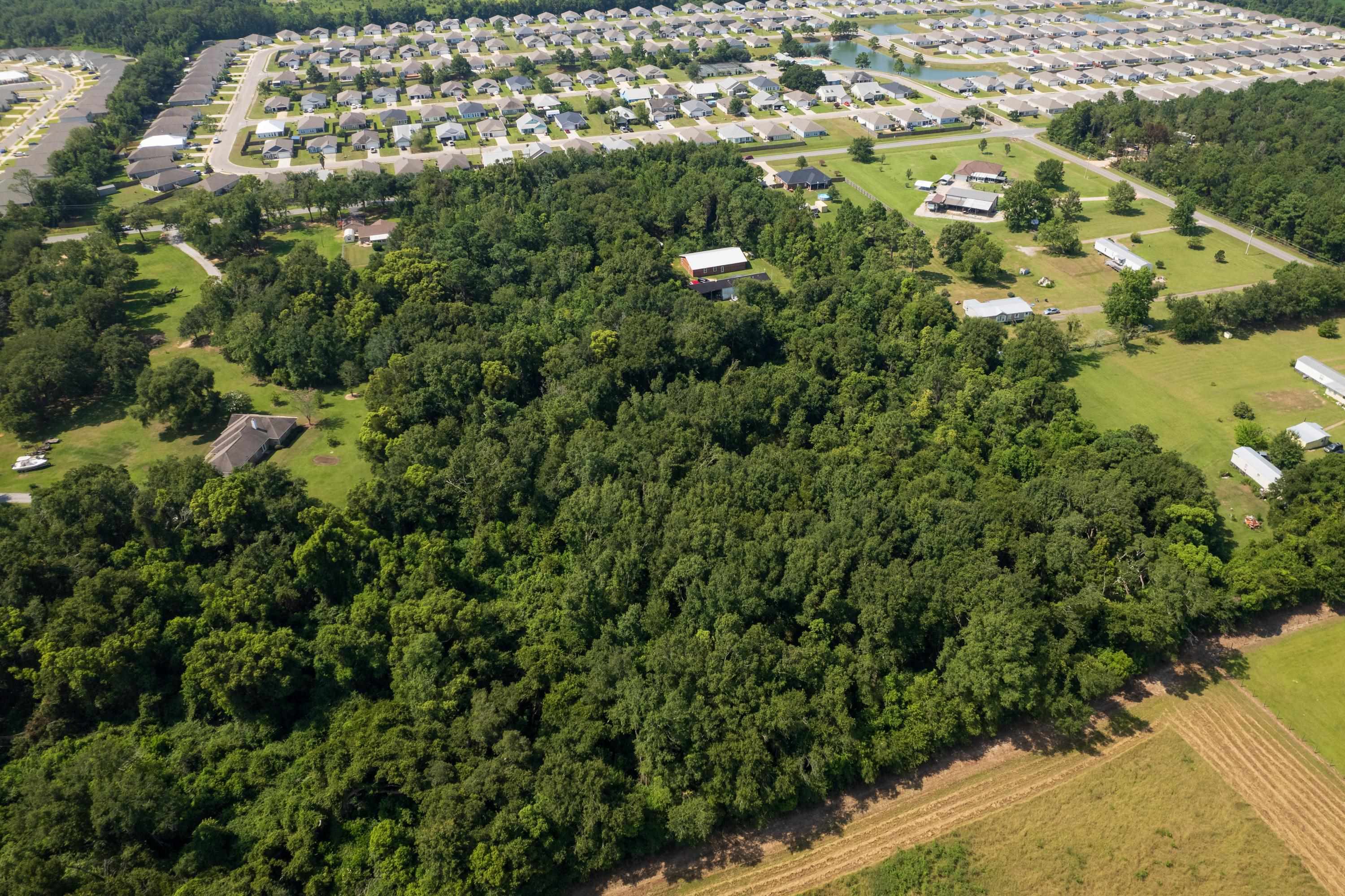 17385 County Road 16 Foley, AL 36535 - Photo 2 of 53 Aerial View
