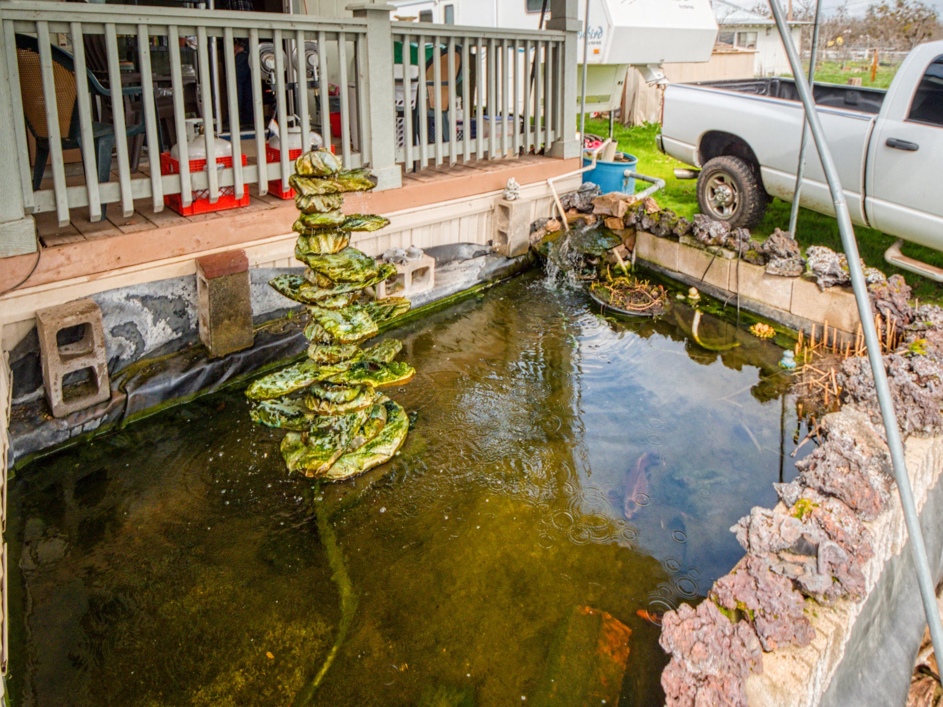 3608 Sams Valley Road White City, OR 97503 - Photo 8 of 18 Pond 1