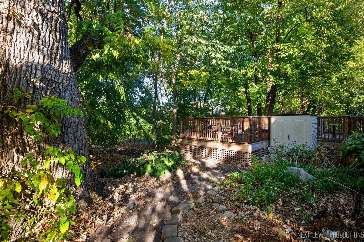 802 Wild Ginger Road Sugar Grove, IL 60554 - Photo 34 of 35