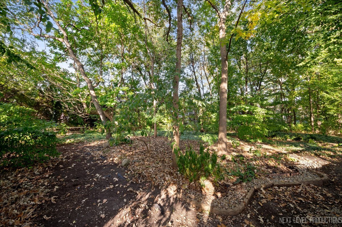 802 Wild Ginger Road Sugar Grove, IL 60554 - Photo 35 of 35