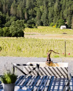 $2,995,000 | 8781 Martinelli Road, Forestville, CA 95436