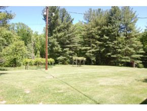 2818 Dungannon Road, Unit 1 Coeburn, VA 24230 - Photo 2 of 3 Level Yard 15 acres