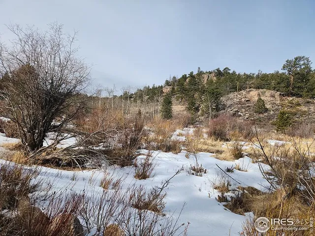 $35,000 | 151 Ada Court, Red Feather Lakes, CO 80545