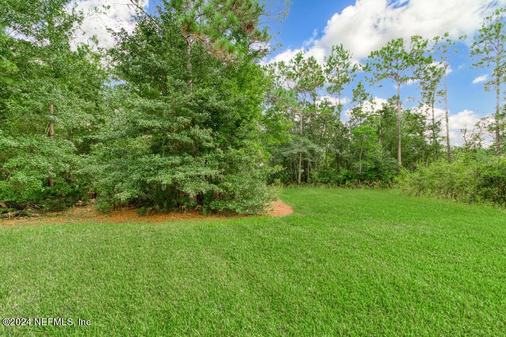 4864 Peppergrass Street Middleburg, FL 32068 - Photo 44 of 46 4864 Pepprgrass-48