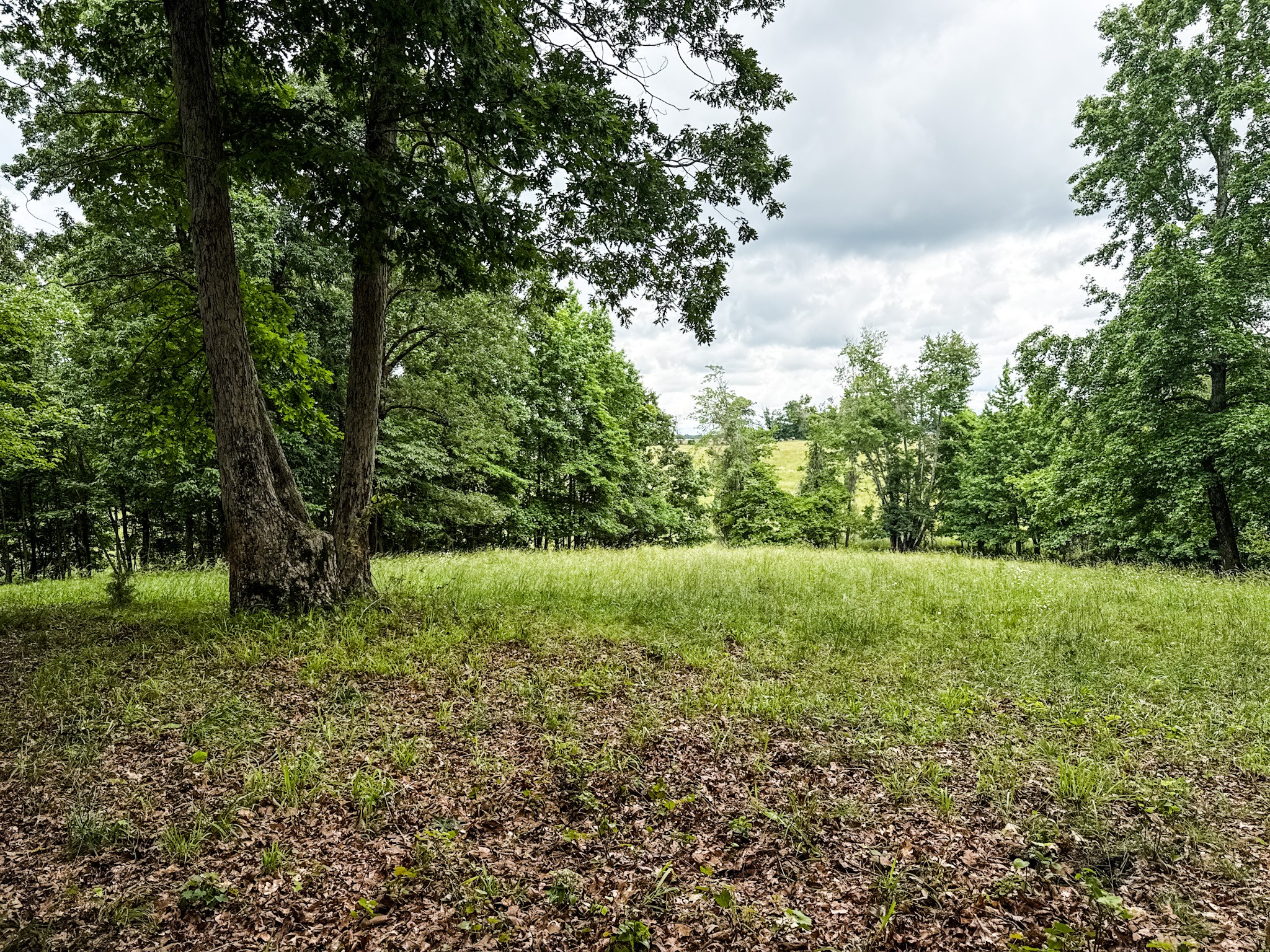 1198 David Patterson Road Lutts, TN 38471 - Photo 75 of 82