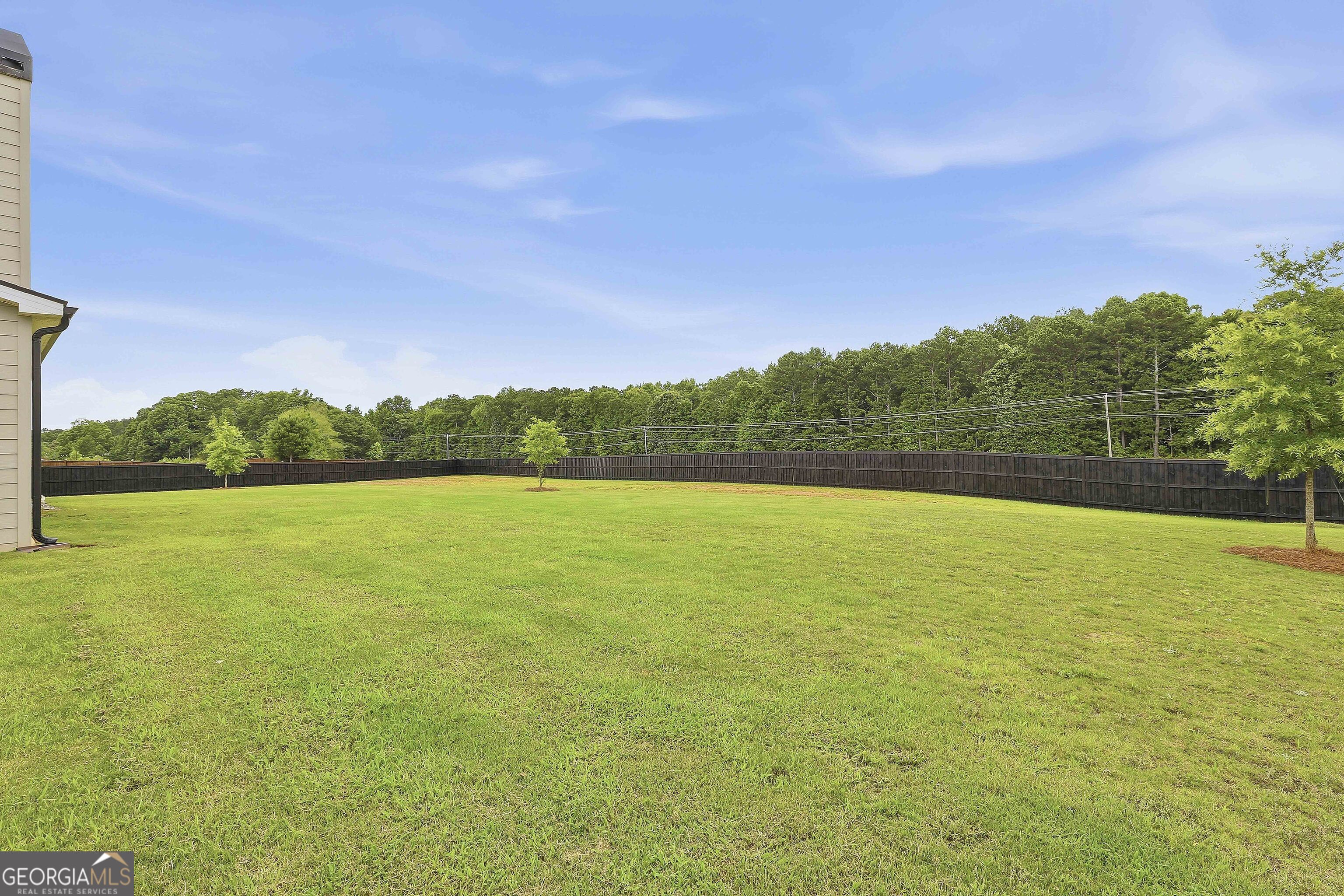 43 Sumner Way Senoia, GA 30276 - Photo 47 of 61