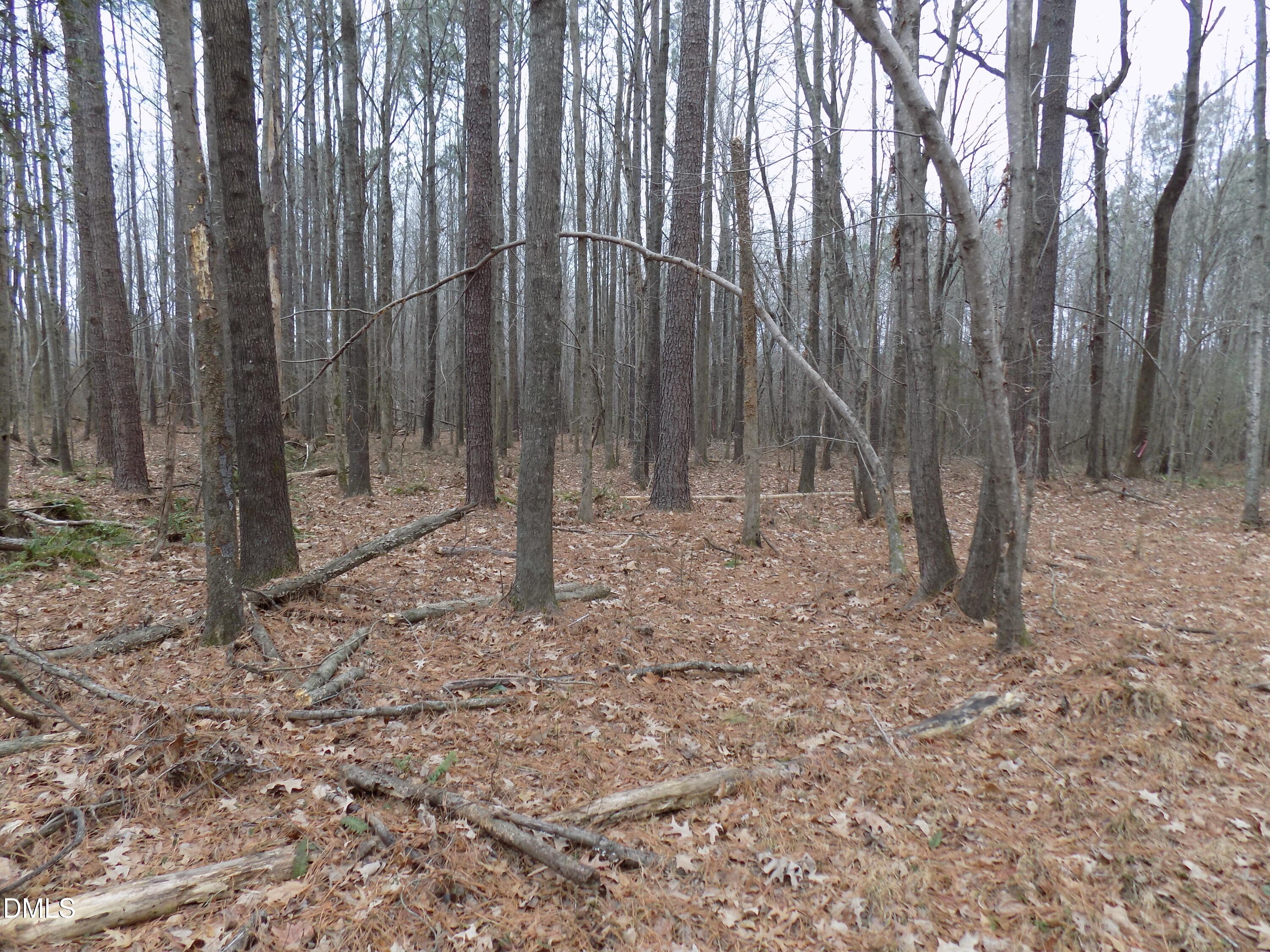 7375 Simmons Road Castalia, NC 27816 - Photo 11 of 16 s5