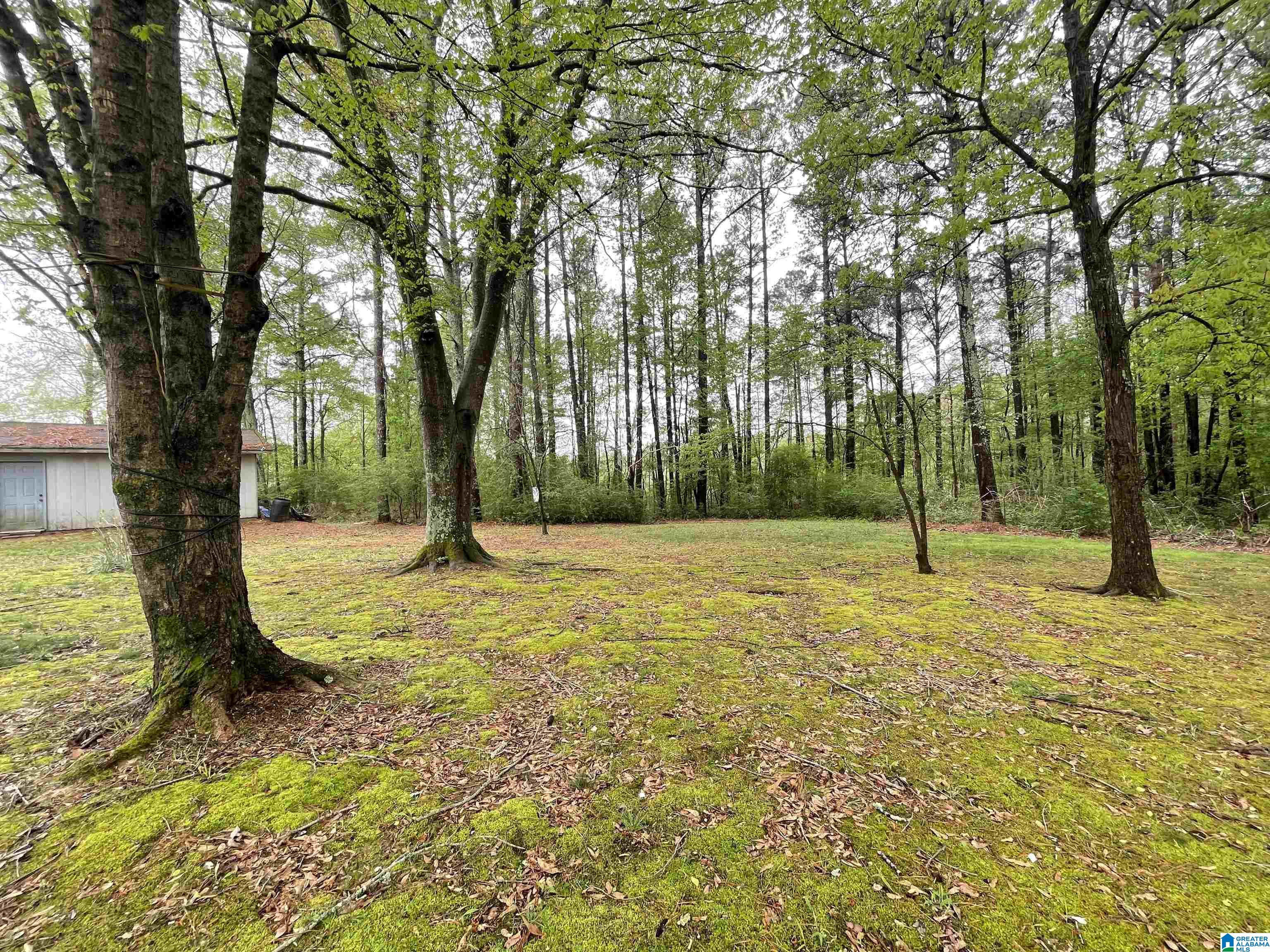 4593 Fall City Road Jasper, AL 35503 - Photo 17 of 28