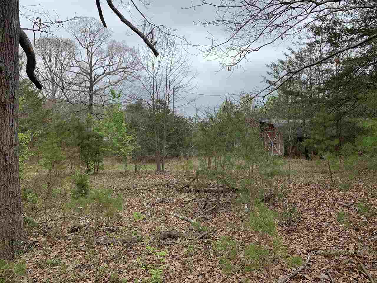 169 Johnson Drive Inman, SC 29349 - Photo 3 of 13