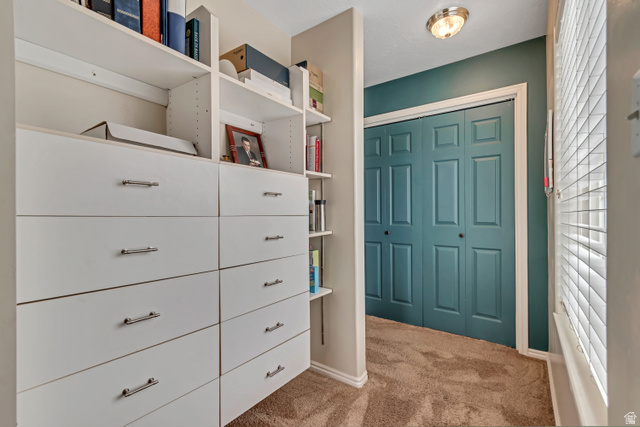 1697 North 500 West Mapleton, UT 84664 - Photo 29 of 50 Walk in closet with light colored carpet