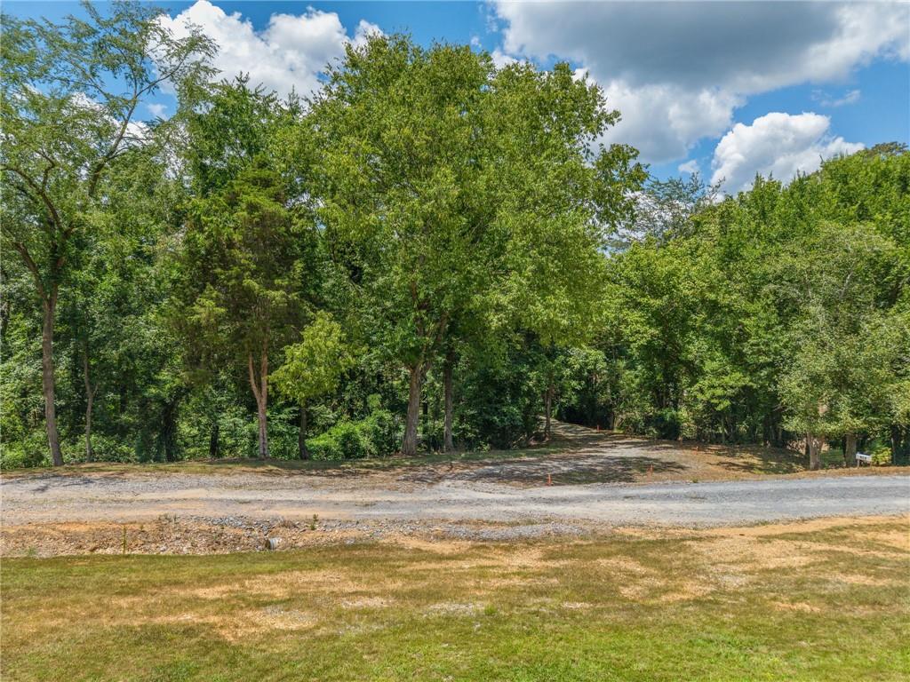 0 Mt Pleasant Road Northeast Fairmount, GA 30139 - Photo 16 of 35