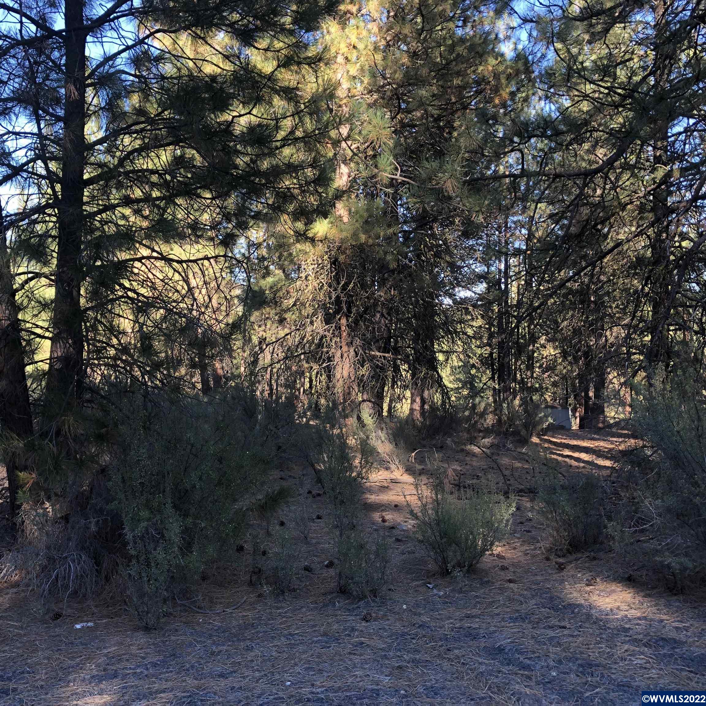 Lot 16 Stillwater Way Chiloquin, OR 97624 - Photo 4 of 7