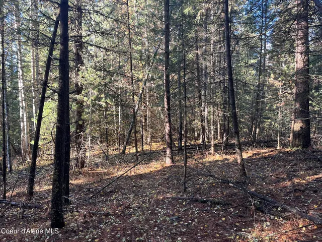 $340,000 | 30.91-acs French Gulch Road, Pinehurst, ID 83850