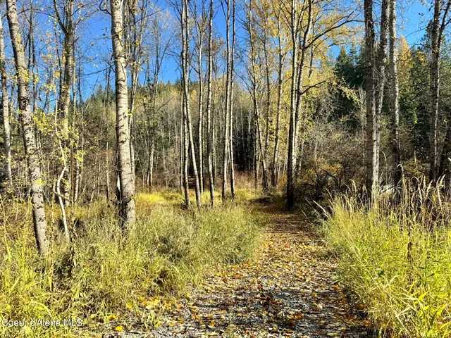 $340,000 | 30.91-acs French Gulch Road, Pinehurst, ID 83850