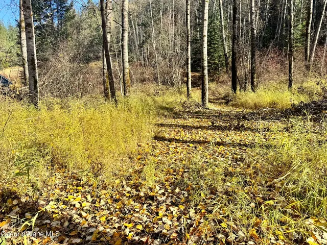 $340,000 | 30.91-acs French Gulch Road, Pinehurst, ID 83850