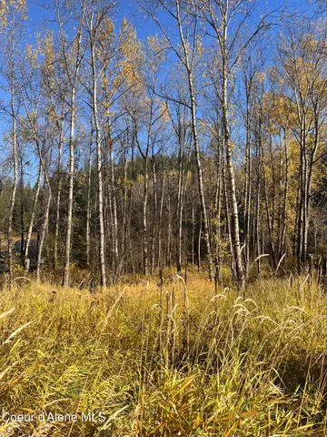 $340,000 | 30.91-acs French Gulch Road, Pinehurst, ID 83850