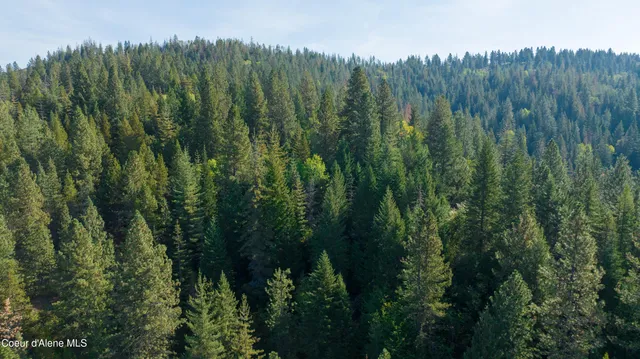 $340,000 | 30.91-acs French Gulch Road, Pinehurst, ID 83850