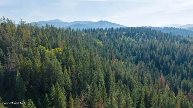 $340,000 | 30.91-acs French Gulch Road, Pinehurst, ID 83850