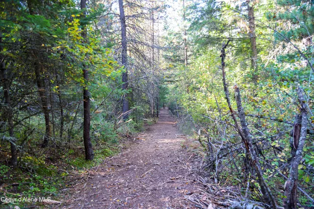 $340,000 | 30.91-acs French Gulch Road, Pinehurst, ID 83850