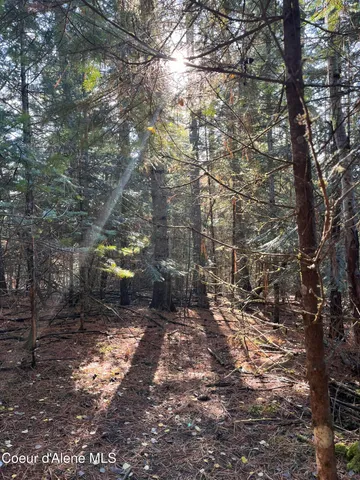 $340,000 | 30.91-acs French Gulch Road, Pinehurst, ID 83850