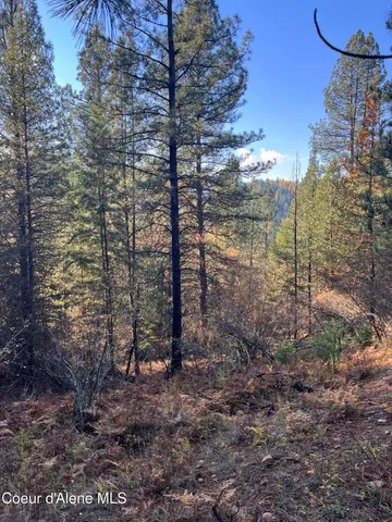 $340,000 | 30.91-acs French Gulch Road, Pinehurst, ID 83850