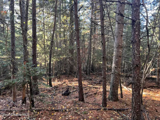 $340,000 | 30.91-acs French Gulch Road, Pinehurst, ID 83850