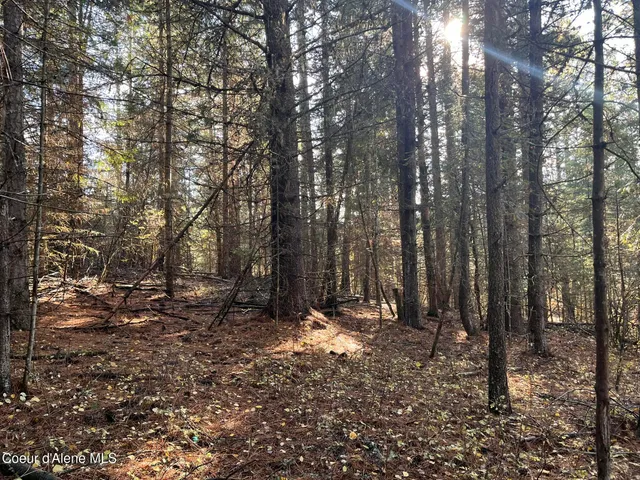 $340,000 | 30.91-acs French Gulch Road, Pinehurst, ID 83850