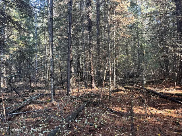 $340,000 | 30.91-acs French Gulch Road, Pinehurst, ID 83850