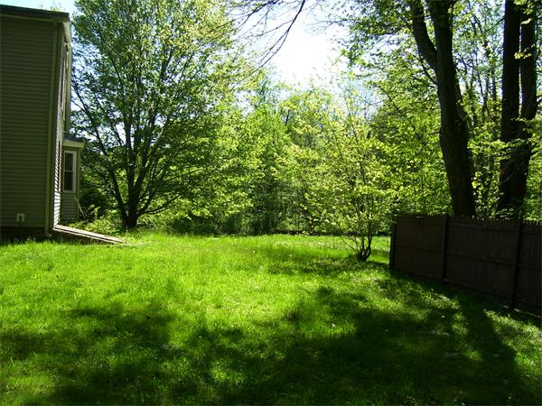 78 Blood Road Charlton, MA 01507 - Photo 16 of 25 a backyard of a house with lots of green space