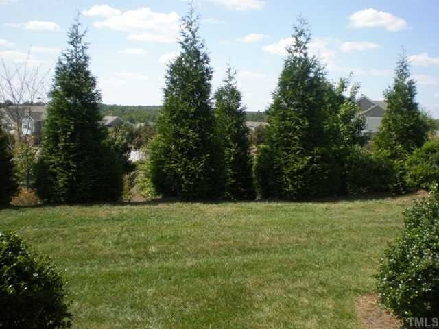 4832 Sir Duncan Way Raleigh, NC 27612 - Photo 10 of 10 Gorgeous view from private patio.