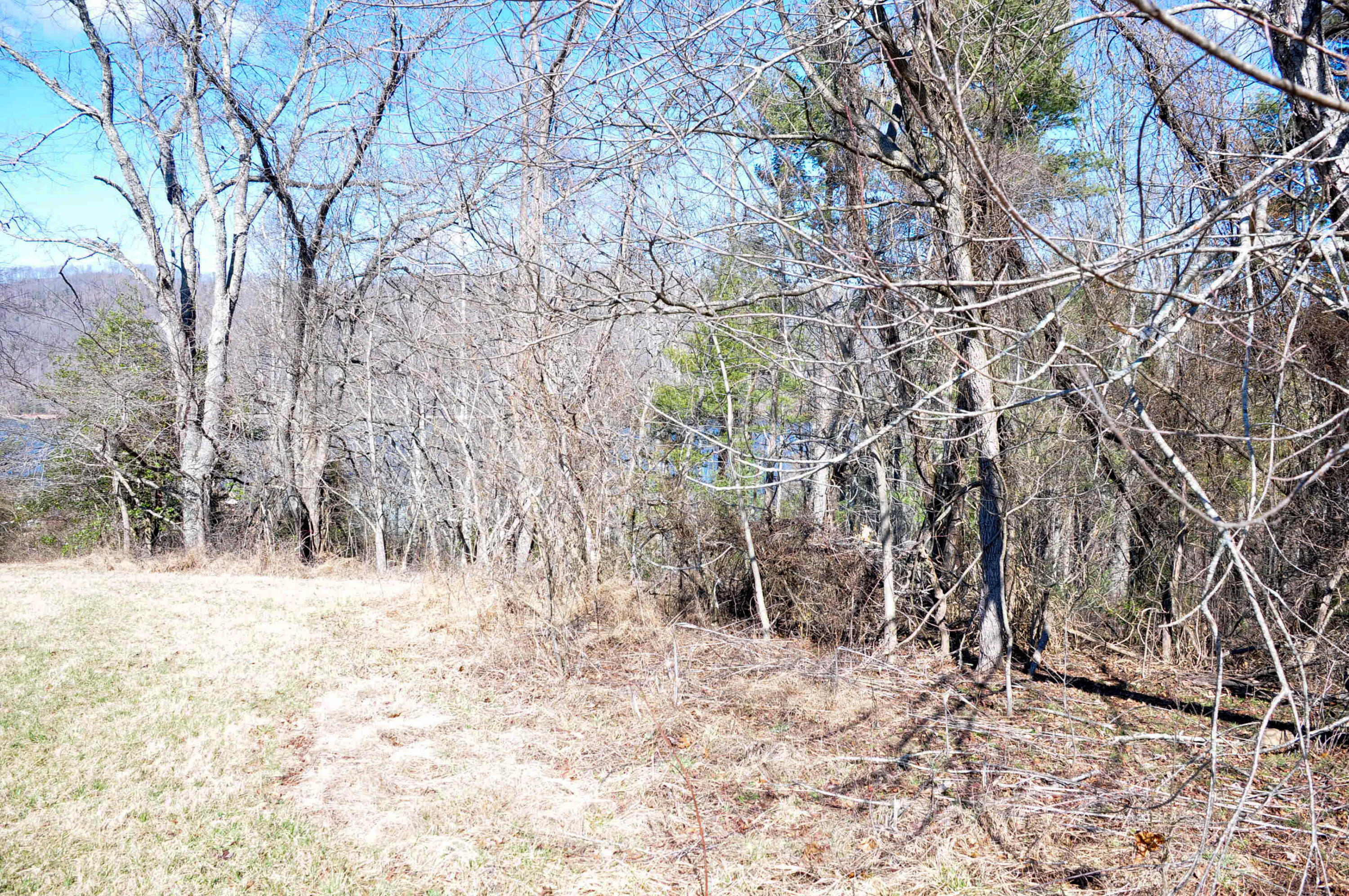 Lot 2 Harbour Point, Unit 2 Butler, TN 37640 - Photo 12 of 38 DSC_5619