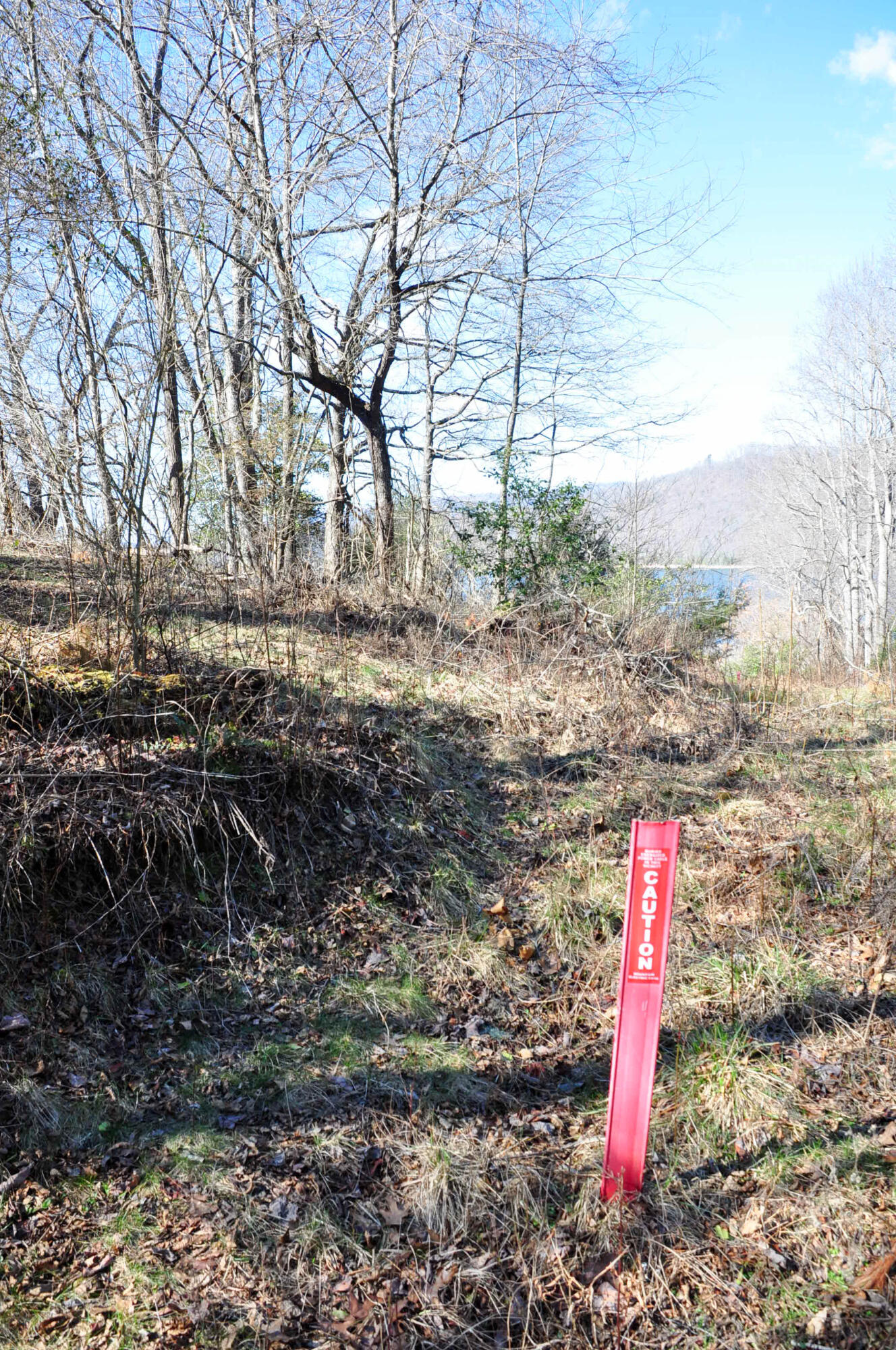 Lot 2 Harbour Point, Unit 2 Butler, TN 37640 - Photo 13 of 38 DSC_5620