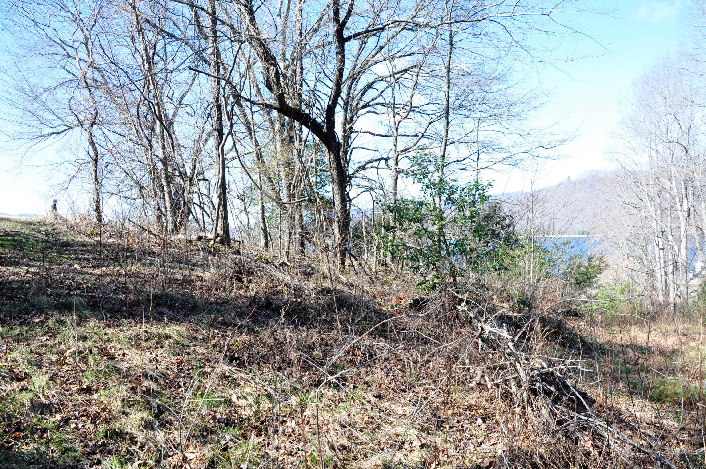 Lot 2 Harbour Point, Unit 2 Butler, TN 37640 - Photo 15 of 38 DSC_5622