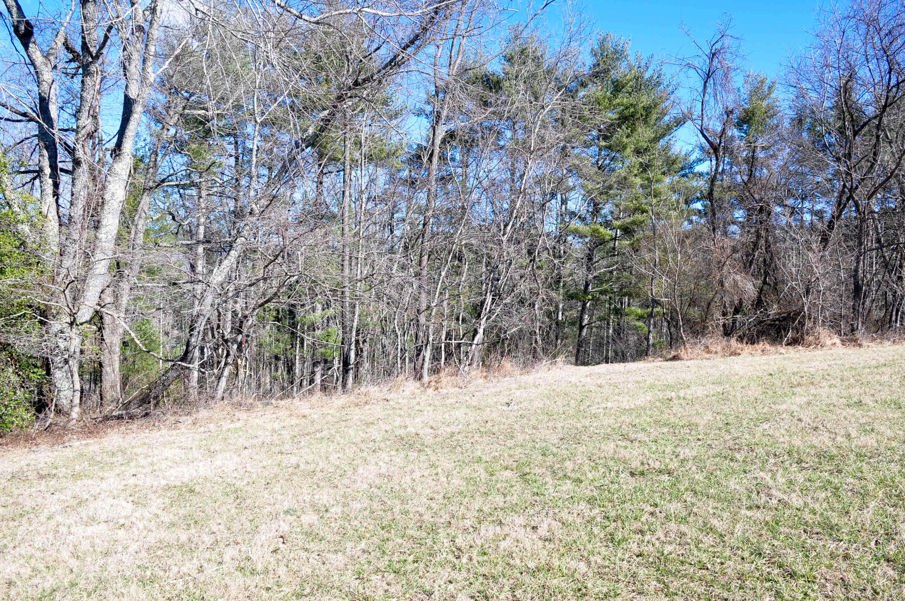 Lot 2 Harbour Point, Unit 2 Butler, TN 37640 - Photo 28 of 38 DSC_5632