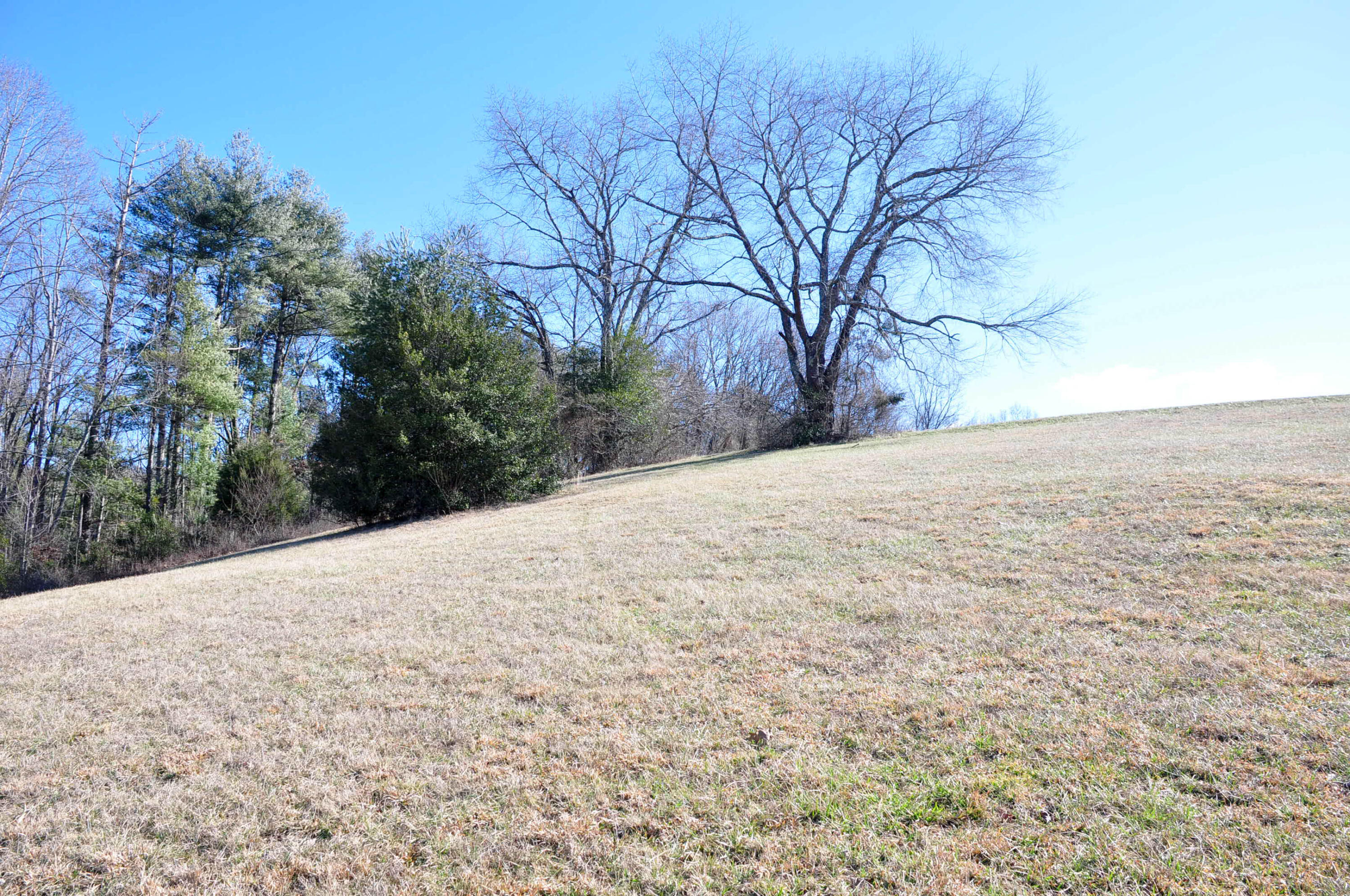 Lot 2 Harbour Point, Unit 2 Butler, TN 37640 - Photo 30 of 38 DSC_5637