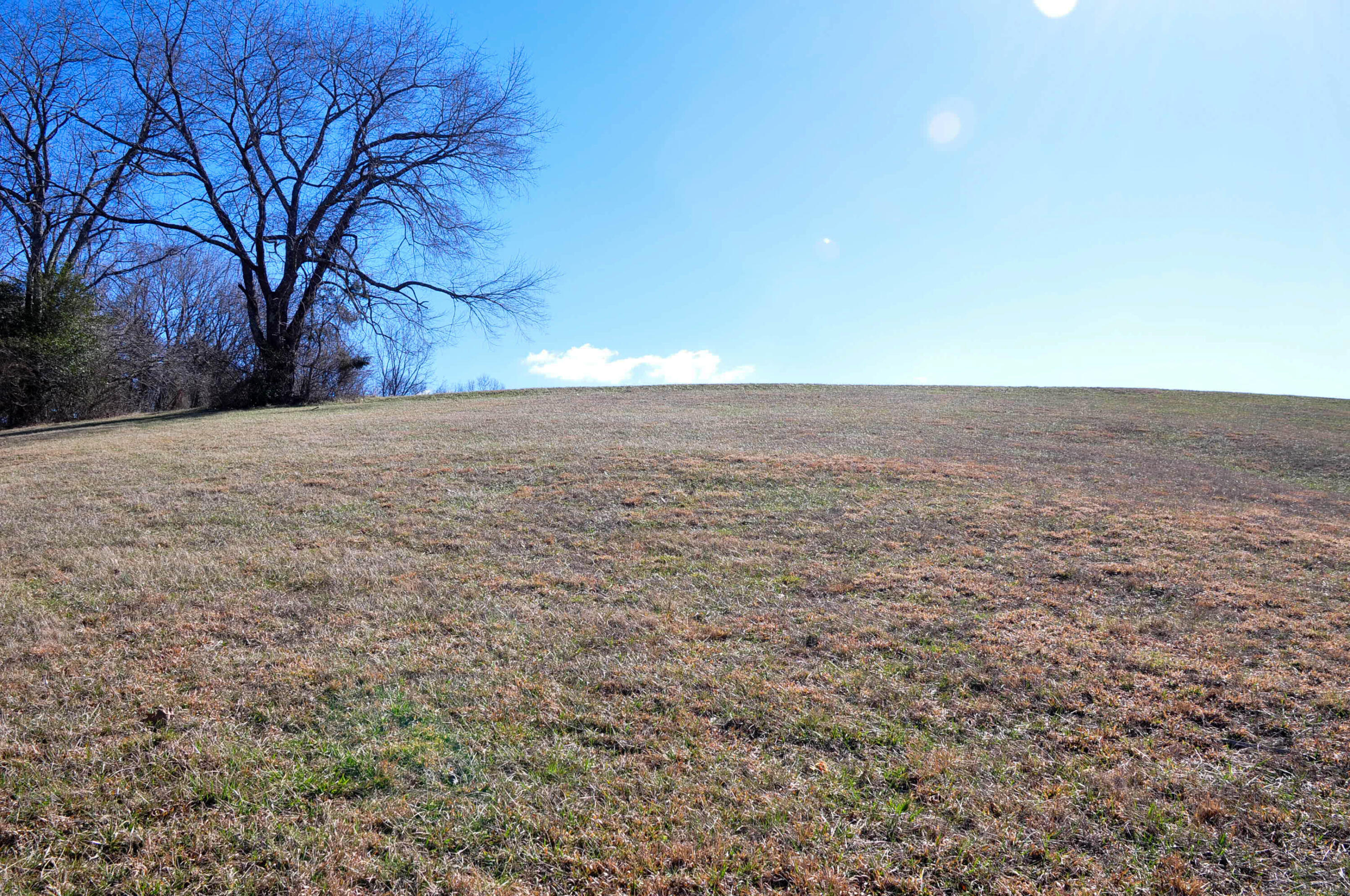 Lot 2 Harbour Point, Unit 2 Butler, TN 37640 - Photo 31 of 38 DSC_5638