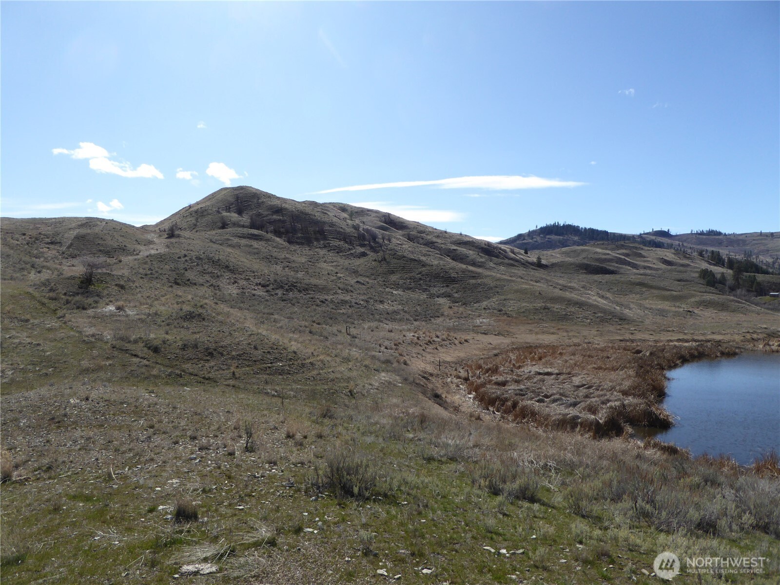 170 Henry Road Tonasket, WA 98855 - Photo 2 of 8 a view of a dry yard with mountains in the background