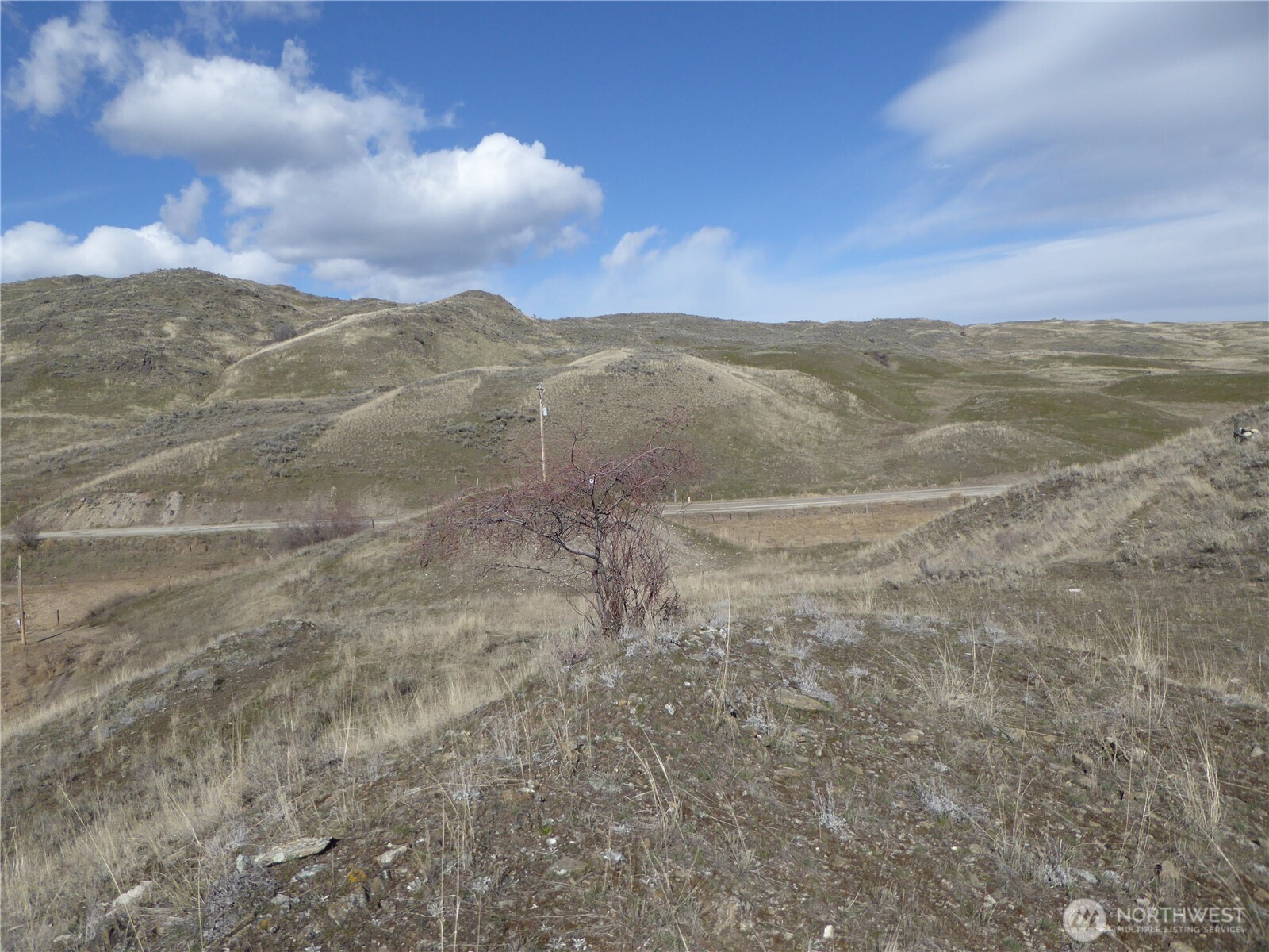 170 Henry Road Tonasket, WA 98855 - Photo 4 of 8 a view of an outdoor space and mountain view