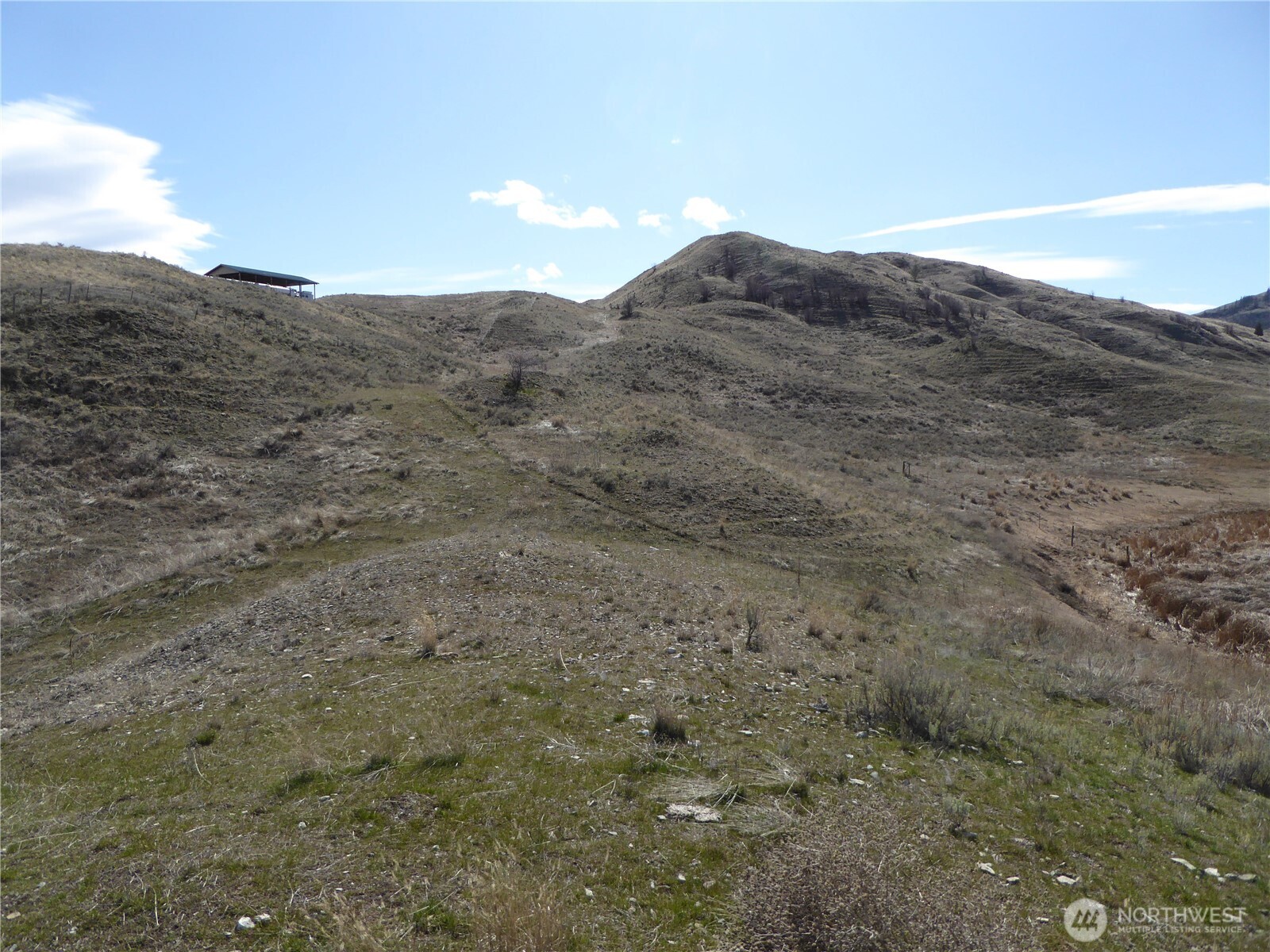 170 Henry Road Tonasket, WA 98855 - Photo 6 of 8 a view of a dry field