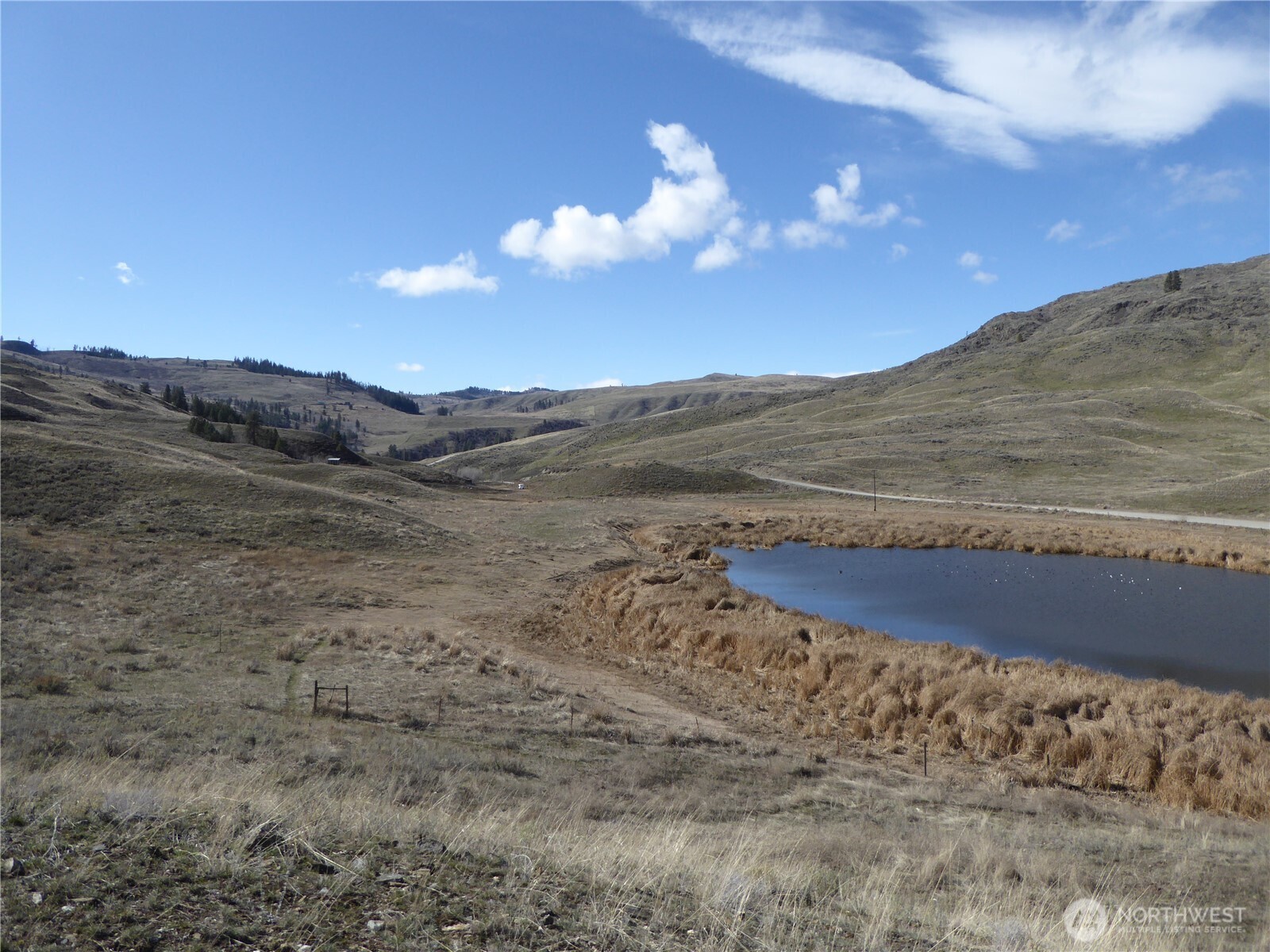 170 Henry Road Tonasket, WA 98855 - Photo 7 of 8 a view of a dry yard with mountains in the background