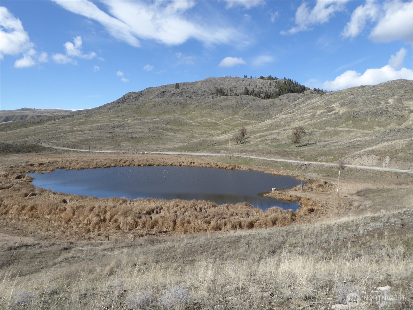 170 Henry Road Tonasket, WA 98855 - Photo 8 of 8 a view of a dry yard with mountains in the background