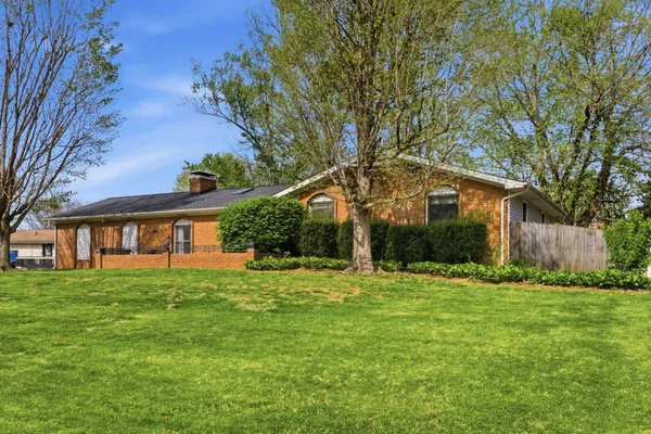 a backyard of a house with plants and large tree