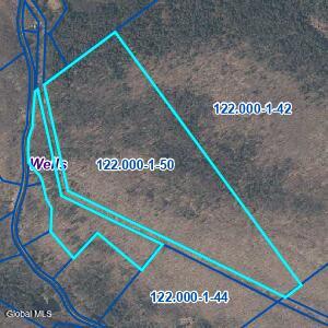 L50 Gilmantown Road Wells, NY 12190 - Photo 7 of 8 parcel