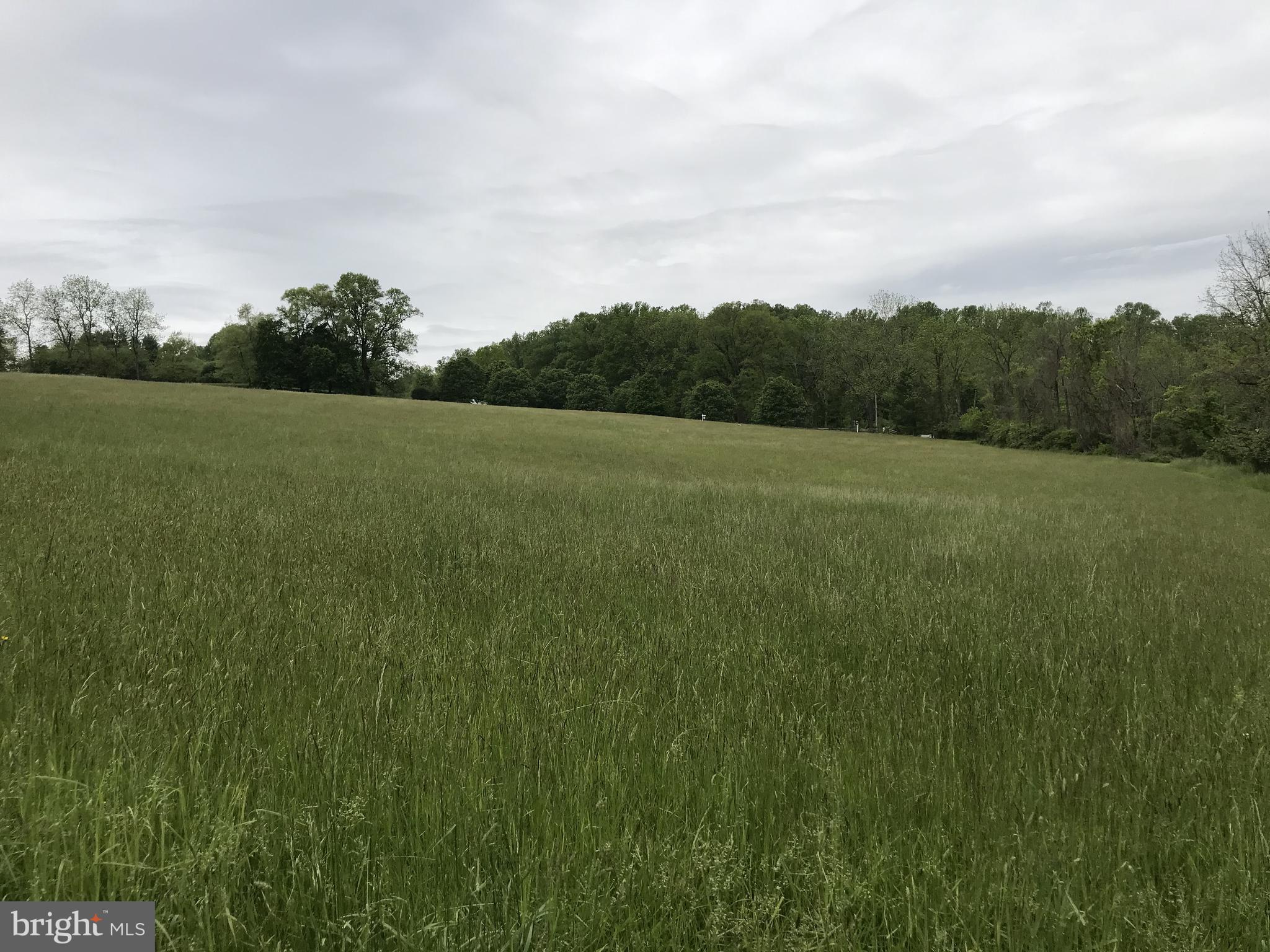 800 Fairville Road Chadds Ford, PA 19317 - Photo 6 of 7 a view of an outdoor space and a yard