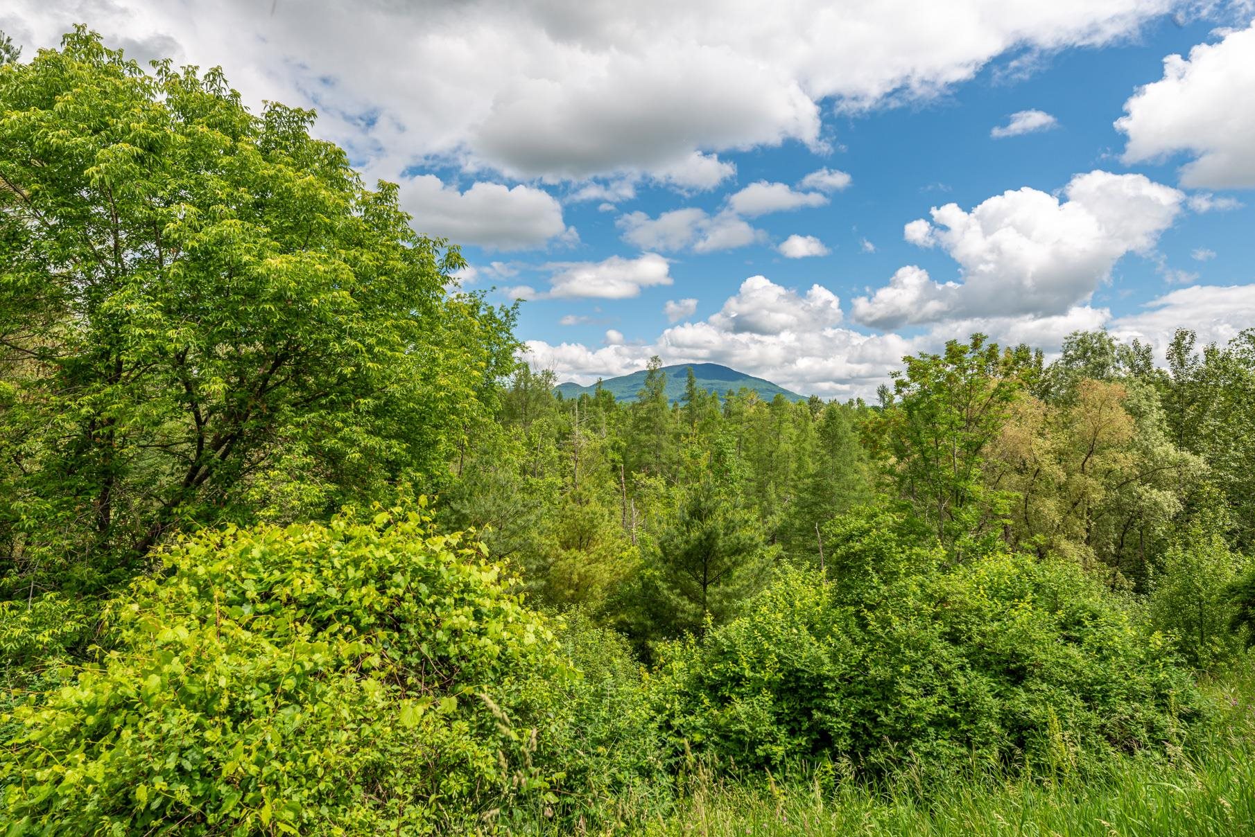 263 Kestrel Court, Unit F17 Manchester, VT 05254 - Photo 24 of 25