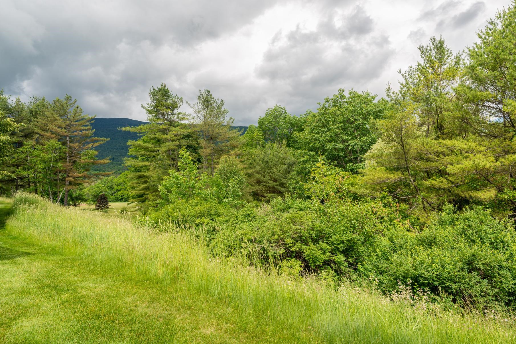 263 Kestrel Court, Unit F17 Manchester, VT 05254 - Photo 25 of 25